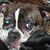 Melissa Feehley's profile image