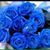 Dorothy Eberhardt's profile image