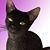 Sara Miller's profile image