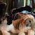 Jennifer Larson Casey's profile image