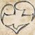 Terri Cannon's profile image