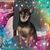 Wanda Ruckert's profile image