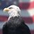Jimmy D. Lynch's profile image