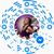 Sheri Greenberg's profile image