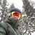 Michael Weisenberger's profile image