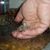Rachel Rosenblum's profile image