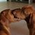 Debra Jean Becker's profile image