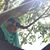 Youssra Dakroury's profile image