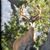 Dede Cucci Lambrecht's profile image