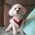 Ronald Geske's profile image