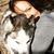 Heather Benfield House's profile image