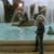 Rose Netzer's profile image