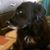 Janice Smith Dicus's profile image