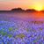 Debra Brown-Gray's profile image