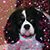 Dave Alvord's profile image
