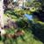 Amy Craig-Barkee's profile image