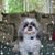 Ruth Tuddy Battelle's profile image