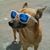 Mark Dunn's profile image