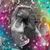 Sharon Raasch's profile image