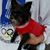 Peggy Vance's profile image