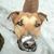 Webb Shanon's profile image