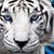 Johnnie Martin's profile image