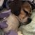 Kim Hodgkiss's profile image