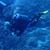 Nicholas Denegre's profile image