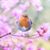 Robyn May's profile image