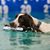 Amy J. Schneider's profile image