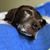 Schellie Ayars's profile image