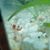 Duy Phạm's profile image