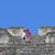 Vicki Davis Wilson's profile image