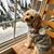 Mary Pat Farkas's profile image