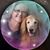 Ellen Bachert Baylor's profile image