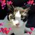 Blenda Morris's profile image