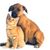Pet Food Emporium's profile image
