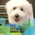 Pam Le Grand Housel's profile image
