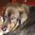 Amy Poche's profile image