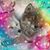 Sonia Camibiaghi's profile image