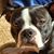 Brenda Thomas Deitz's profile image