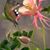 Diane Broberg's profile image