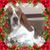 Larissa Mickel's profile image