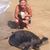 Linda Gilbert's profile image