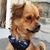 Erica Menezes's profile image