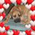 Shawndra Gilliam's profile image