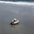 Nancy Mahoney's profile image