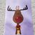 Daryl Ropp's profile image