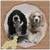 Roxanne G.'s profile image