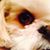 John J. Smith's profile image
